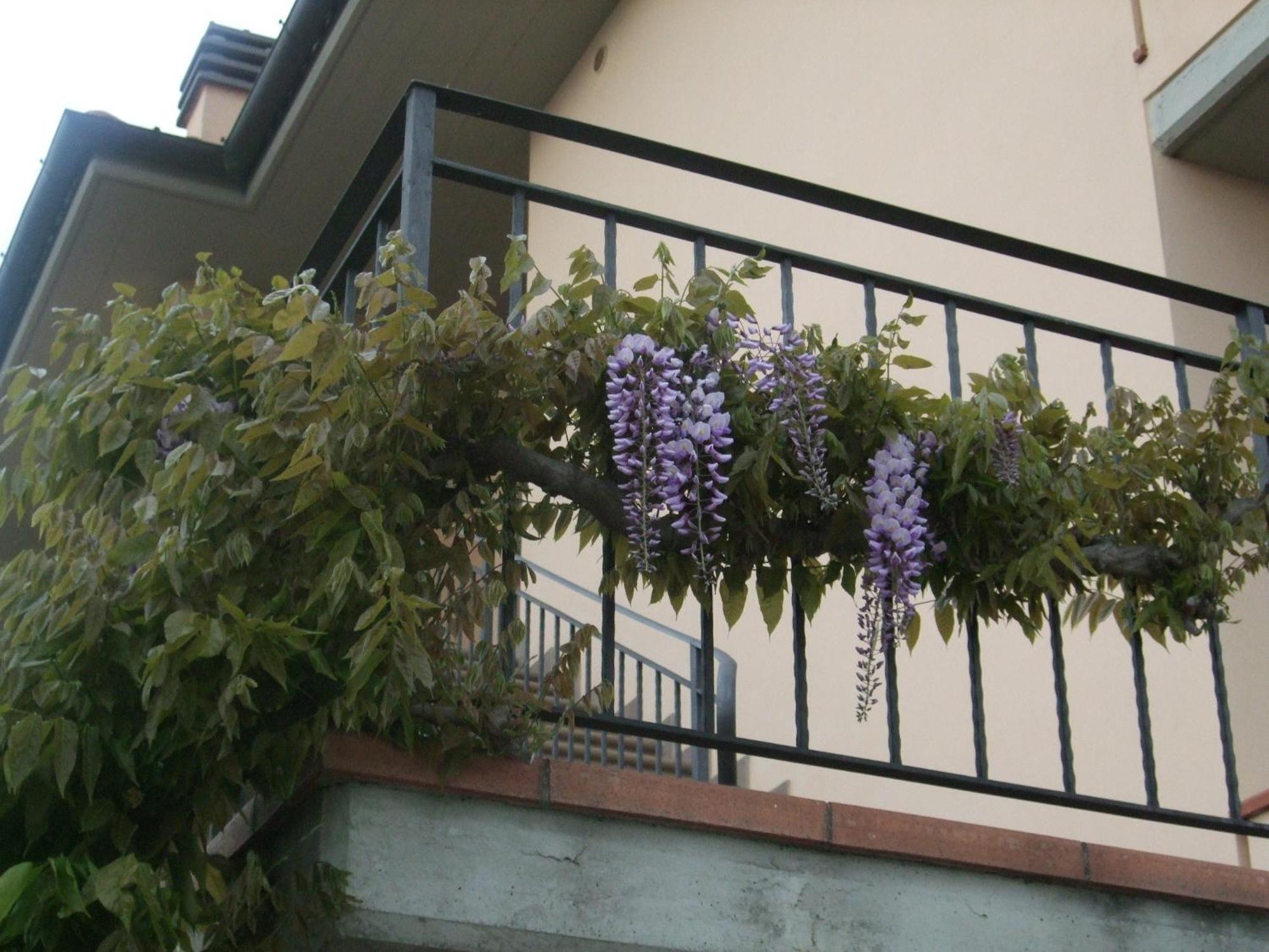 B&B La Casa Di Zefiro Limite Εξωτερικό φωτογραφία