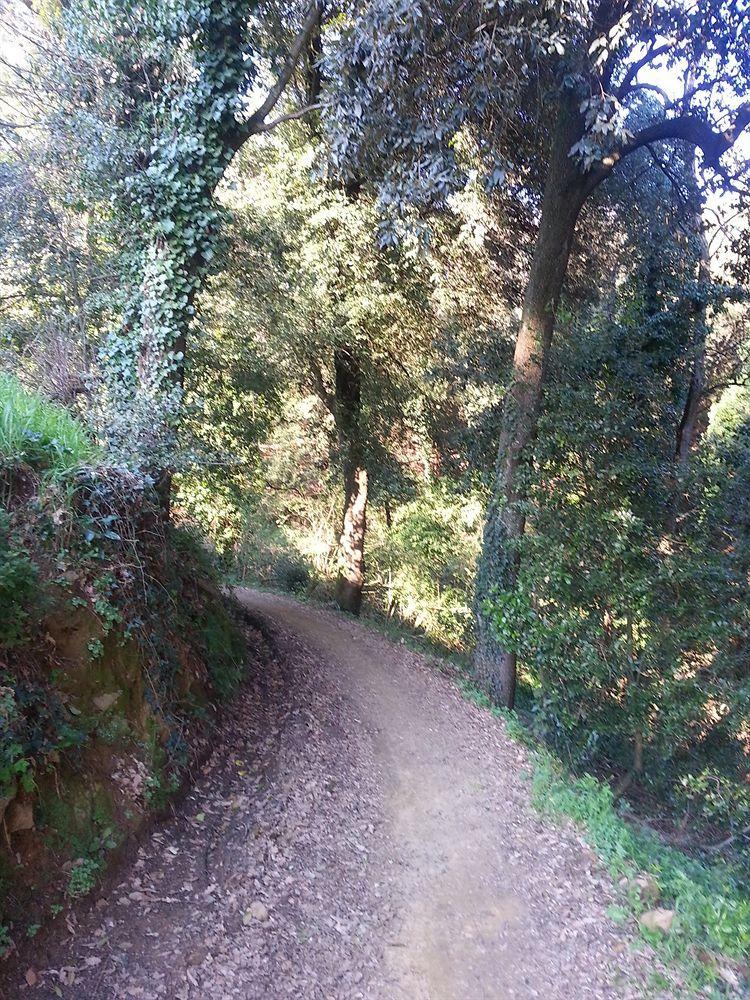 B&B La Casa Di Zefiro Limite Εξωτερικό φωτογραφία