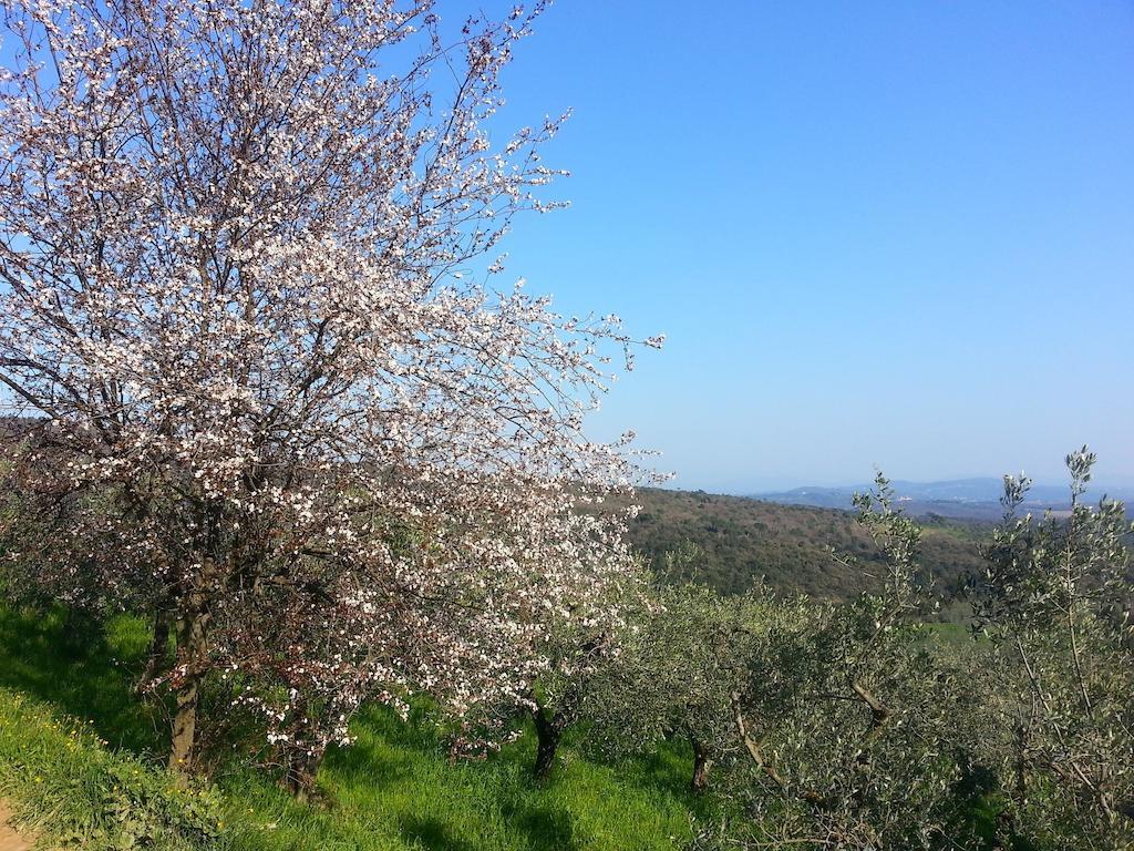 B&B La Casa Di Zefiro Limite Εξωτερικό φωτογραφία